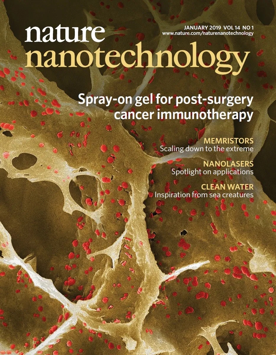 Qian-Nature-nano-cover.webp.jpg
